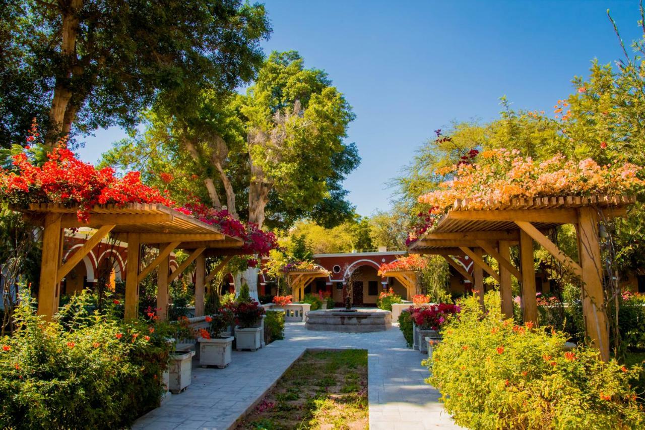 Dm Hoteles Mossone - Ica Dış mekan fotoğraf